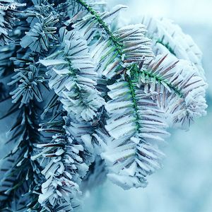 亚洲一级强奸电影免费在线观看视频
