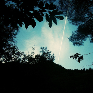 亚洲一级强奸电影免费在线观看视频
